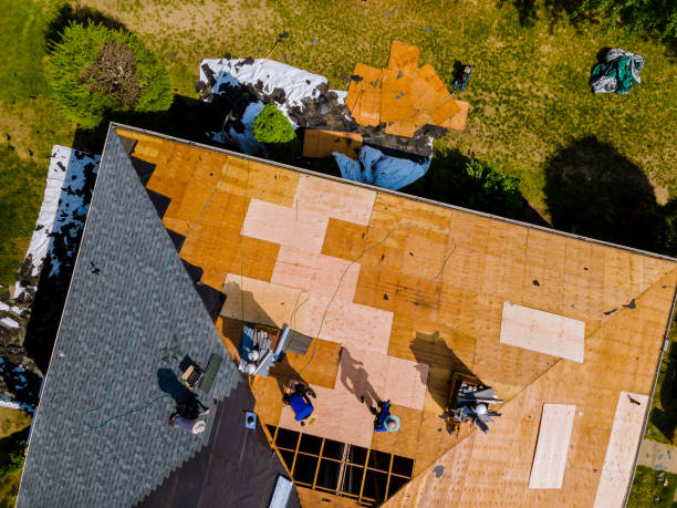 Best Storm Damage Roof Repair  in Northwood, OH